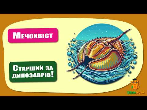 🍀 Дива природи. Явища навколо нас. Мечохвости 🌏
