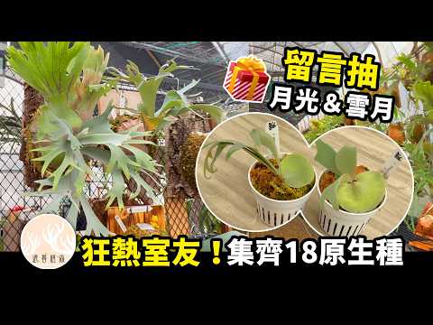 [Greenhouse Unboxing] What's it like to share an apartment with a roommate who's obsessed with st...