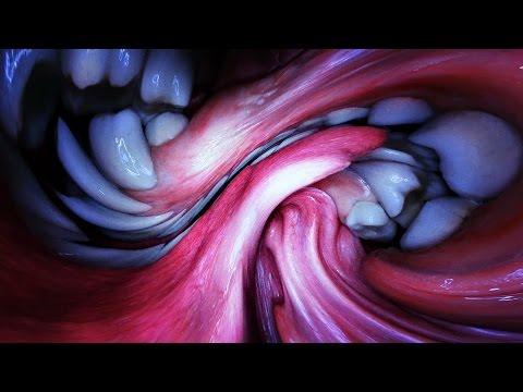 björk: mouth mantra