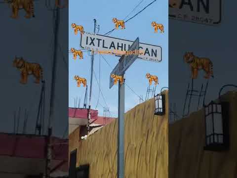 CON DISPAROS DE ARMA, ASESINAN A UN HOMBRE, EN COLONIA "LOS PINOS" ZONA ORIENTE DE COLIMA