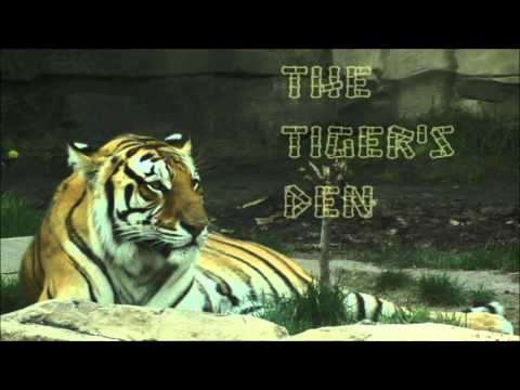 January 21st Trade What You See with Larry Pesavento on TFNN - 2016