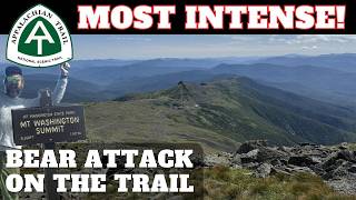 Bear Attack In The White Mountains Thru Hiking The Appalachian Trail New Hampshire