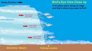 Reading The Beach - Where's The Fish 2 - The View From The Beach