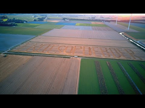 The Making Of: ''Trots op de Boer''By Wout Stroo