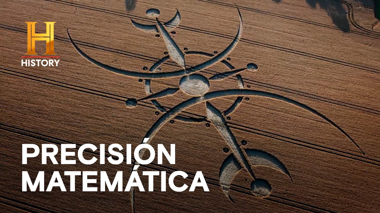 ¿Qué son los círculos de cultivo? - ALIENÍGENAS ANCESTRALES