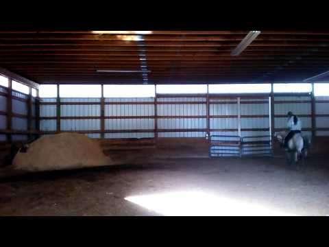 Cyklikal (Ganges x Eurokina by Europejzcyk)