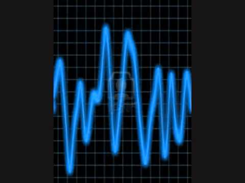 Rephex - The Original Mushrooms 2002