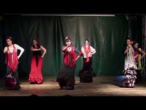 Warsaw Dance Fusion - Flamenco - grupa Malgosi Wolynczyk