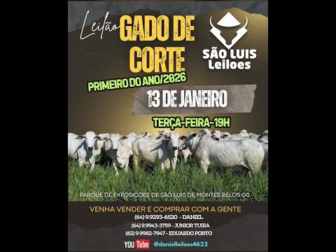 São Luis de Montes belos  - GO   13/01/2026