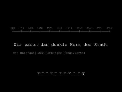 Wir waren das Dunkle Herz der Stadt - Der Untergang der Hamburger Gängeviertel