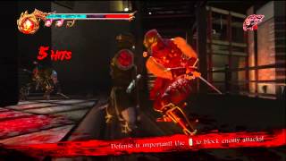 Ninja Gaiden 2 gameplay*HD*