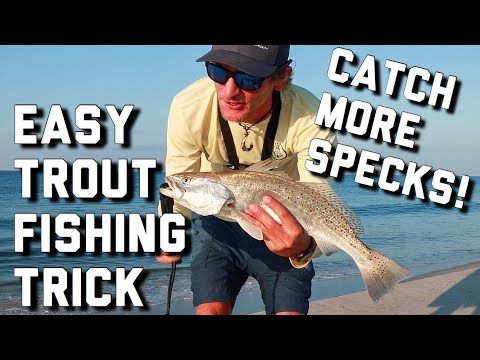 Fishing the Surf for Sea Trout