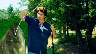 Fly Around My Pretty Little Miss