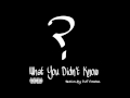 Self Conshus What You Didn T Know FULL EP