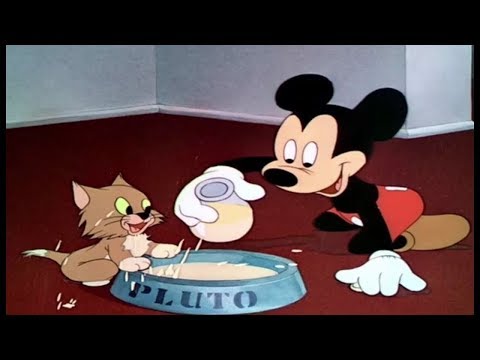 Miki mouse disney latino Mp4 3GP Video & Mp3 Download unlimited Videos  Download 