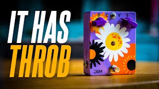 Video thumbnail for It has the THROB. JAM Pedals Retrovibe! by Sasha Ivantic