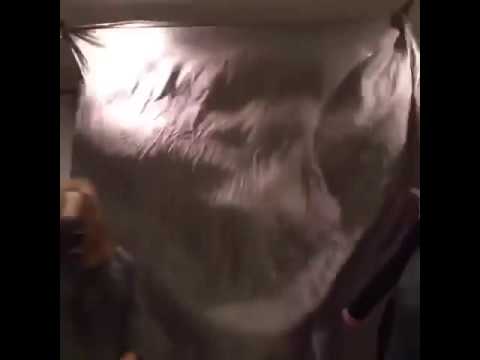 Sam Querrey Vine after beating Novak Djokovic at Wimbledon 2016