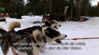 preview picture of video 'Schweizer in Norwegen: April 2010 Teil 3: Hundeschlitten'