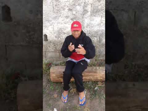 Mc PL CPB - Medley Novas 2020