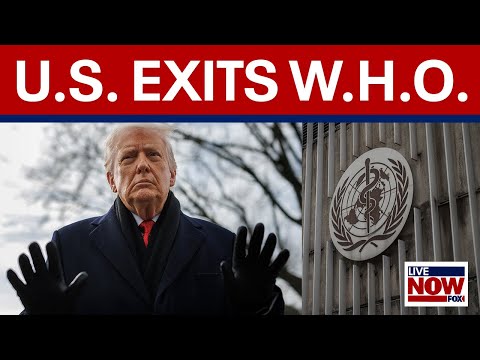 US leaves World Health Organization over handling of COVID-19