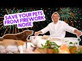 Dog Comforting Music For Fireworks 4th Of July Animal Anxiety Sound Bath Thundershirt Of Music