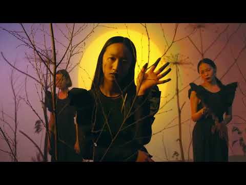 Youtube Video iIoHLc45q00