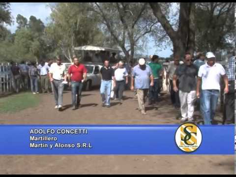 ADOLFO CONCETTI - Martillero - Martin y Alonso S R L - 19/02/2014