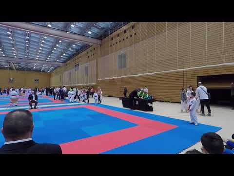 Berlin Open 17 02 2018 kata boys u 8 preparation