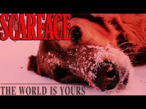 Scarface: The World is Yours, and so is all its cocaine.