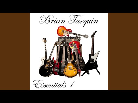 black hawk feat. billy sheehan