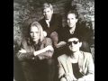 The Dream Syndicate   Forest for the Trees