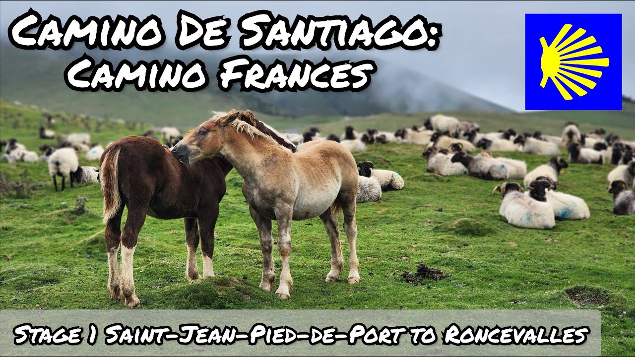 Stage 1 Camino Frances | Saint-Jean-Pied-de-Port to Roncesvalles | Camino de Santiago