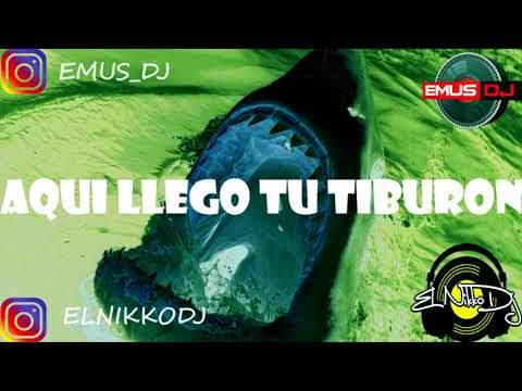 Emus DJ, El Nikko DJ - Aquí Llegó Tu Tiburón (Safaera)