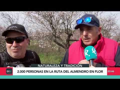 Fiesta del almendro en flor - Canal Extremadura