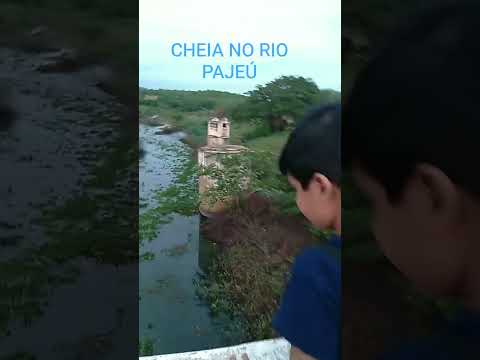 CHEIA CHEGANDO NO RIO PAJEÚ , NA CIDADE DE FLORES PE
