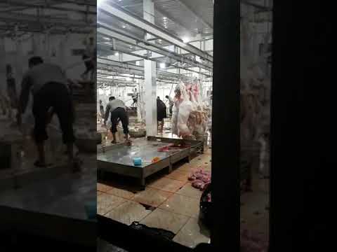 Lò mổ dê Hùng Triều