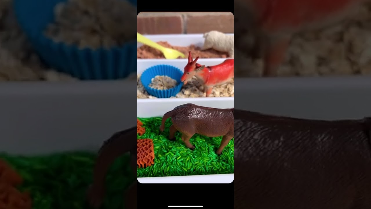 Animal Farm Sensory Exploration Kit