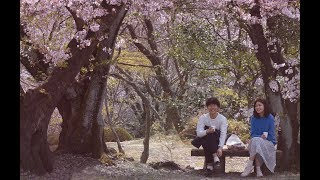 「デッドエンドの思い出」の動画