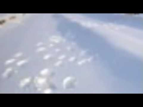 Creme Fresh - Solotrack