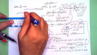 59 ★ والنفس كالطفل image