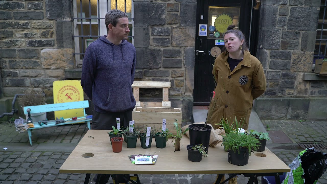 Introducing the #100Planters Project