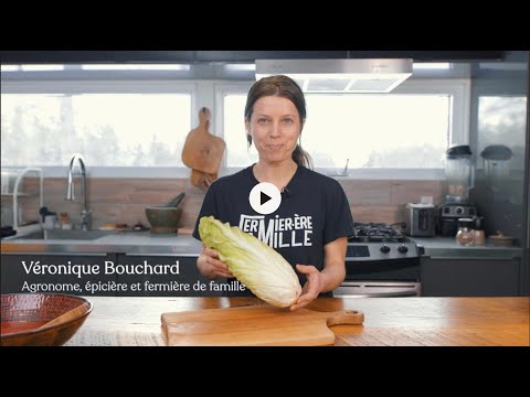 Cuisiner la chicorée pain de sucre sans recettes (version courte)