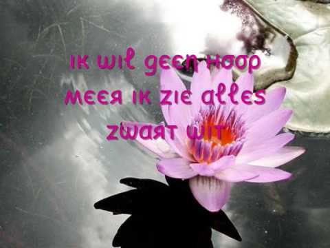 N-Phatic & Maquality Ft Ashley - waarom zag ik niet ? Tekstt