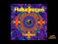 Hallucinogen - LSD 
