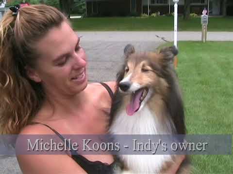 IndyTheWonderDog2
