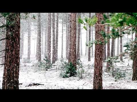 Muraru Ioan - Se așterne blând