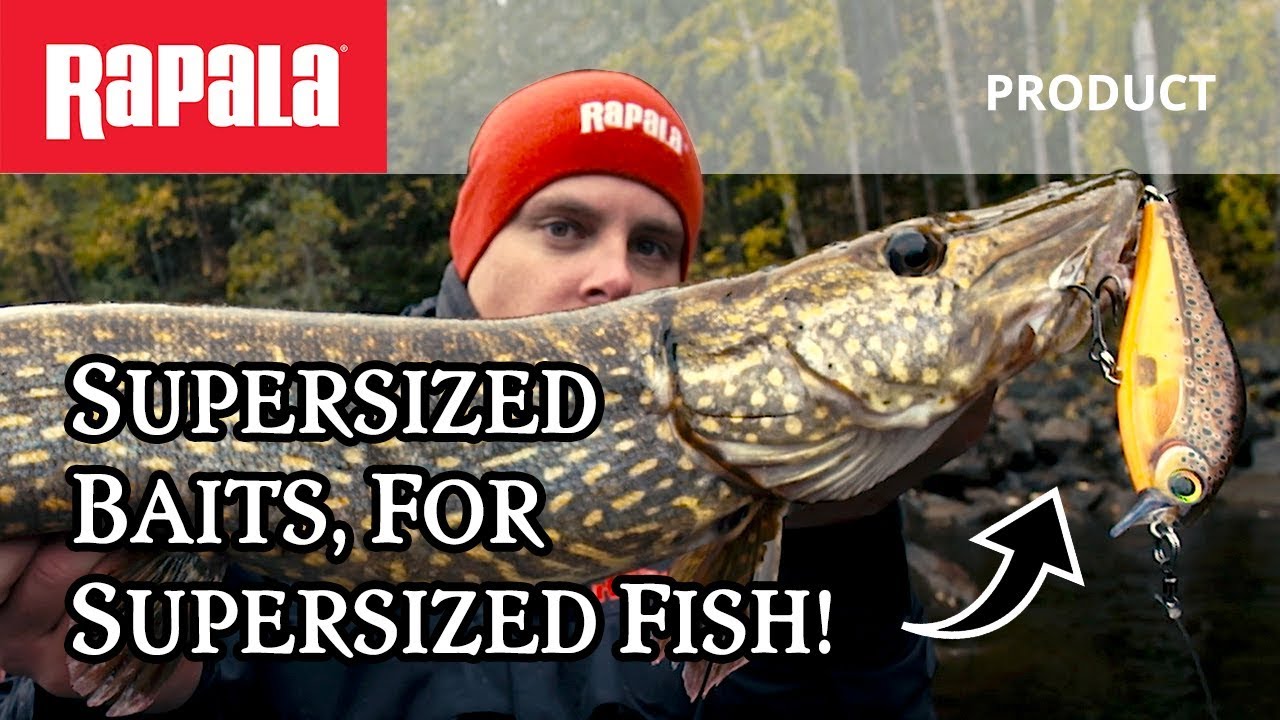 Rapala SUPER Shadow Rap - Köderführung & Laufverhalten Rapala SUPER Shadow Rap - Köderführung & Laufverhalten