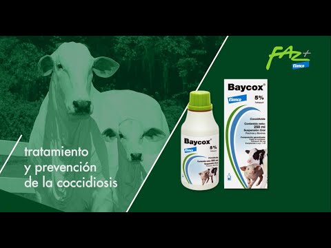 , title : 'Baycox 5%, La solución para el tratamiento y prevención de la coccidiosis en bovinos'