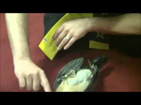 hypnotic chicken -church of the 3.wmv