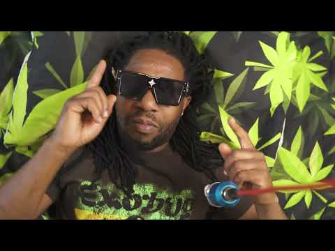 Serial Killaz ft  Mad Sam - Fat Spliff (Official Video)